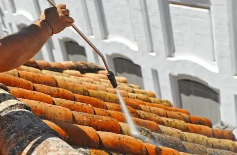 Nettoyage de toitures - Maulette